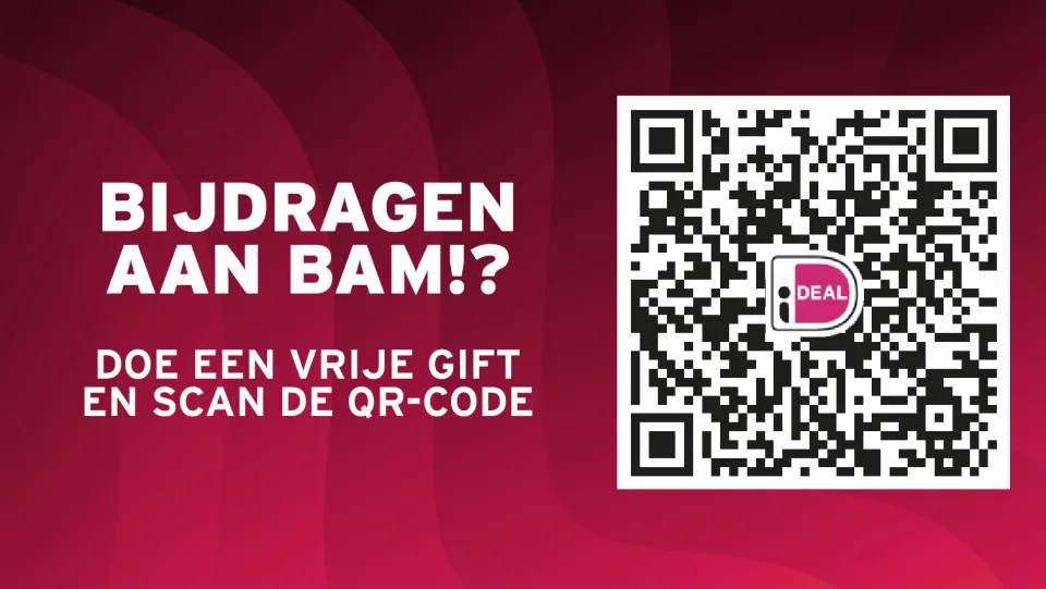 Oproep om bij te dragen aan de BAM ledwall